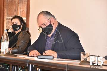 Pleno ordinario de diciembre de 2020/Francisco Javier Santana.